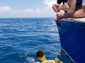 20180601_172221