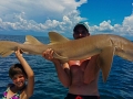 Nurse-Shark-1024x535