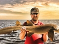 Nurse-Shark2-1024x576