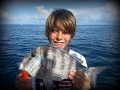 Porgy