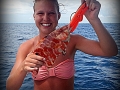 Hogfish
