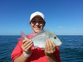 Porgy