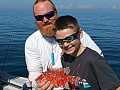 Hogfish1 (1)