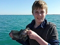 Seabass (1)