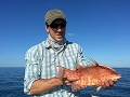 20141129_152122-001-1024x768