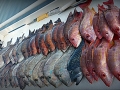 20141229_152144-001-1024x569