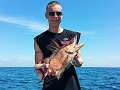 Hogfish-1024x559