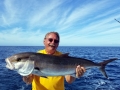 Amberjack