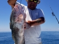 Grouper