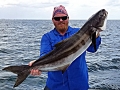 Cobia