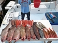 Grouper