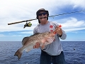 Grouper