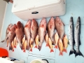 Grouper