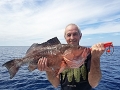 Red Grouper