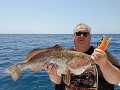 Red Grouper