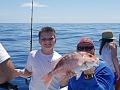 Red Snapper