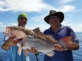Grouper