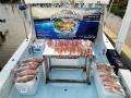 Red Snapper
