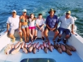 Red Snapper