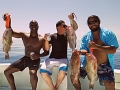Grouper