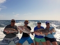 Grouper