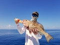 Grouper