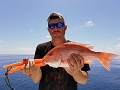 Red Snapper
