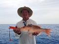 Red Snapper