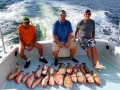 Red Snapper