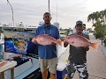 Red Snapper