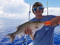 Snapper